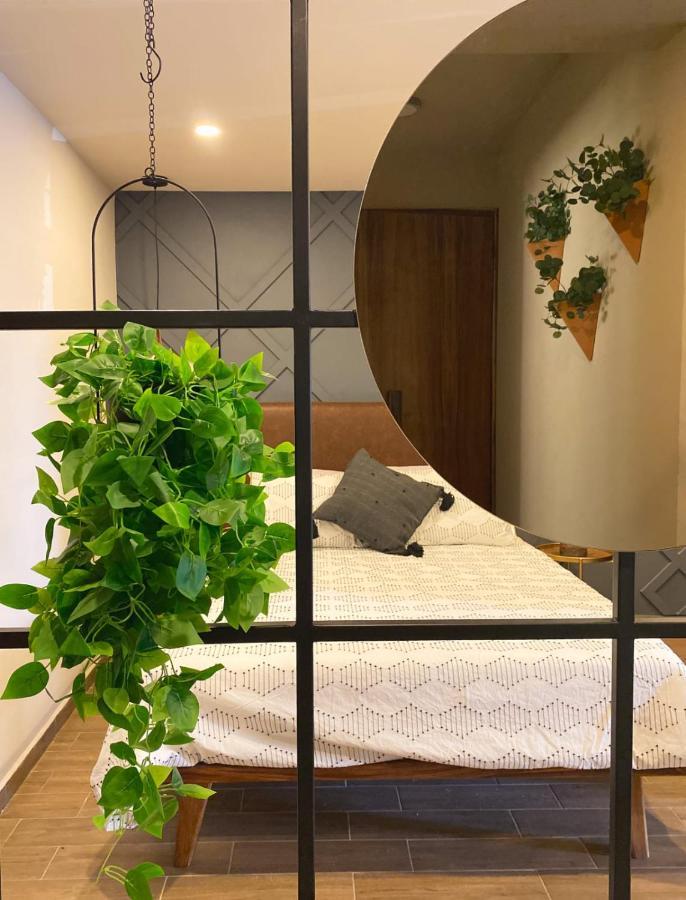 Layoo, Tu Casa En Oaxaca 101 아파트 외부 사진